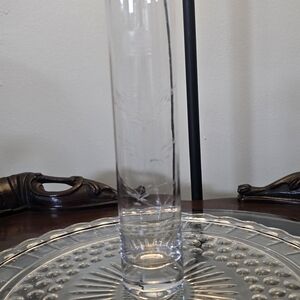 Elegant Clear Glass Vase